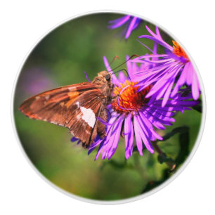 Painted Lady Butterfly Wild Aster Flower Ceramic Knob