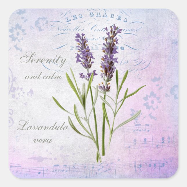 Painted Lavandula Vera Serenity and Calm Square Sticker (Front)
