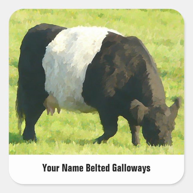 Painted Look Belted Galloway Cow in Field Square Sticker (Front)