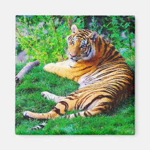 Painted Lounging Tiger in the Grass Wildlife Magnet