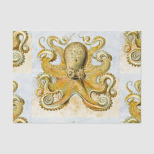 Painted Nautical Octopus Kraken Squid Father's Day Tissue Paper