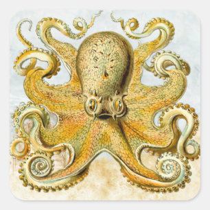 Painted Nautical Octopus Kraken Squid Square Sticker