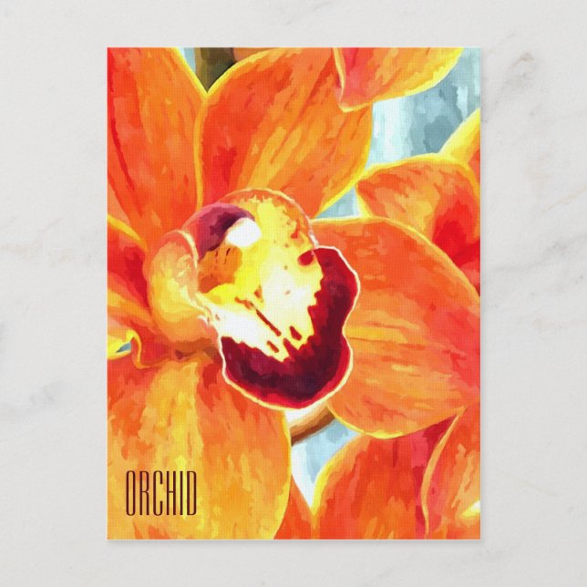Painted Orange Orchid Vertical Postcard (Front)