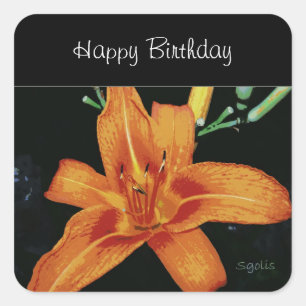 Painted Orange Tiger Lily Sticker