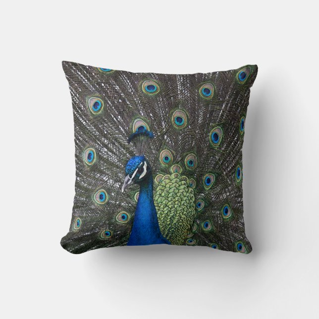 Painted Peacock Pillow (Front)