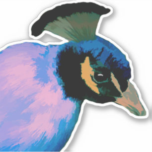 Painted Peacock Vinyl Sticker
