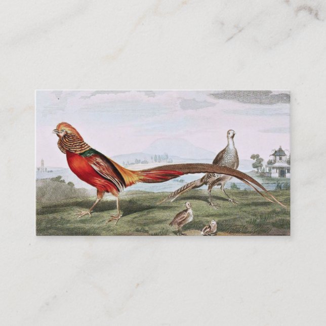 Painted Pheasants Business Card (Front)