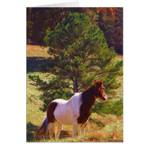 Painted Pony by the Pine