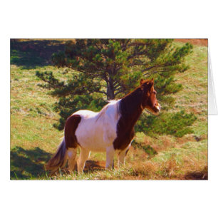 Painted Pony  by the Pine