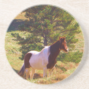 Painted Pony by the Pine Coaster
