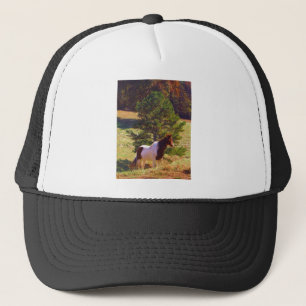 Painted Pony by the Pine Trucker Hat