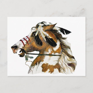 Painted Pony Postcard