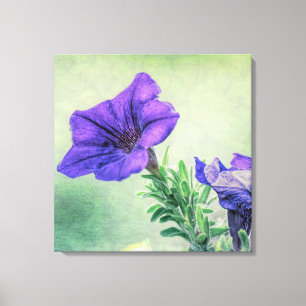 Painted Purple Petunia Canvas Art