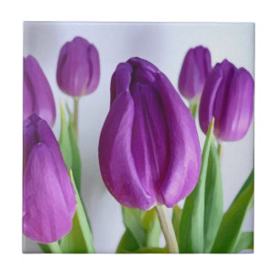 Painted Purple Tulips Tile