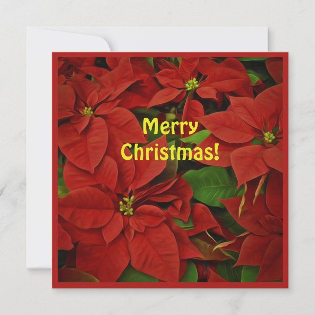 Painted Red Poinsettia Square Christmas Greeting Card (Front)