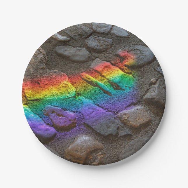 Painted Rock  Paper Plate (Front)