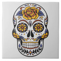 Painted Skull Design