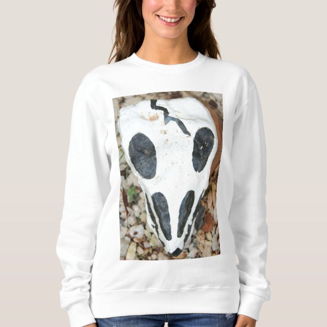 painted skull sweatshirt (Front)
