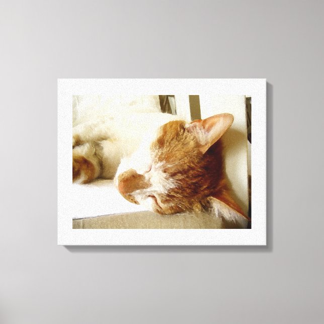 Painted sleeping cat scene canvas print (Front)