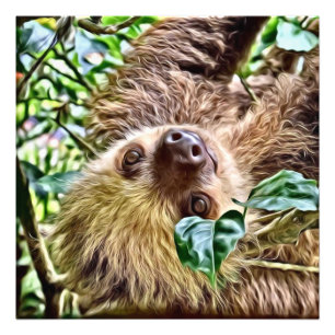 painted Sloth Photo Print