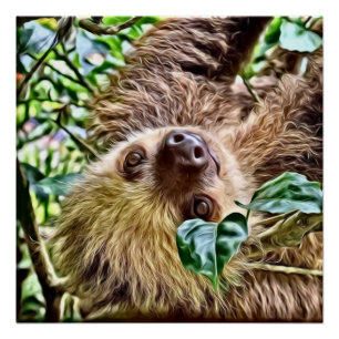 painted Sloth Poster