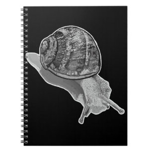 Painted Snail Notebook