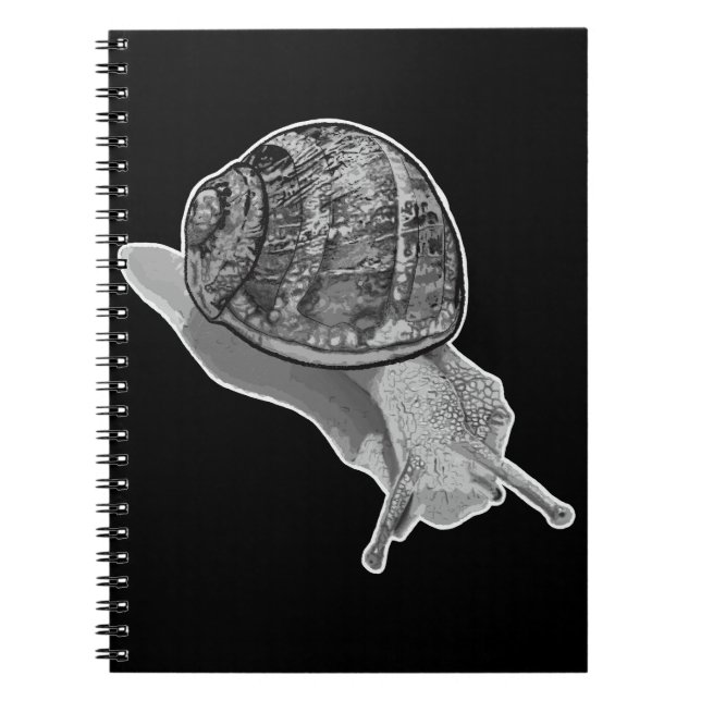 Painted Snail Notebook (Front)