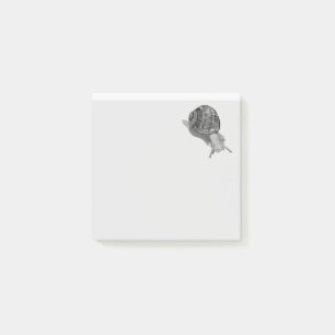 Painted Snail Post-it Notes