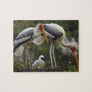 Painted Storks & young one at nest,Keoladeo Jigsaw Puzzle