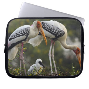 Painted Storks & young one at nest,Keoladeo Laptop Sleeve