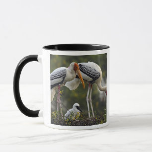 Painted Storks & young one at nest,Keoladeo Mug