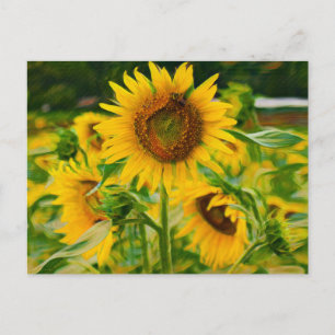Painted Sunflowers Postcard