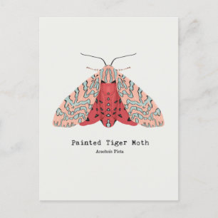 Painted Tiger Moth postcard