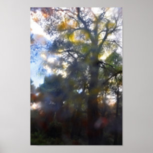 painted trees abstract poster