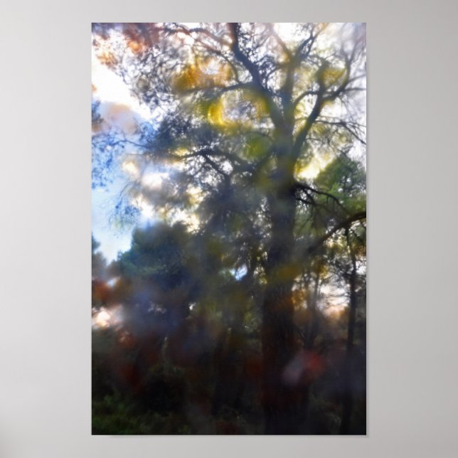 painted trees abstract poster (Front)