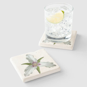 Painted Trillium Spring Wildflower Stone Coaster