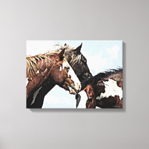 Painted Trio Canvas Print