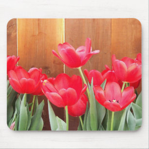 Painted Tulips Mouse Mat