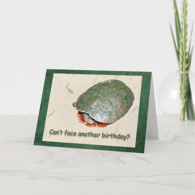 Painted Turtle Birthday Greeting Card (Front)