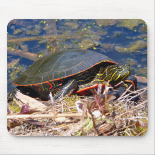 Painted Turtle (Chrysemys picta) 3 Mouse Mat