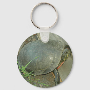 Painted Turtle (Chrysemys picta) Key Ring