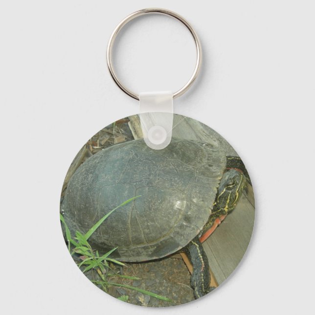 Painted Turtle (Chrysemys picta) Key Ring (Front)