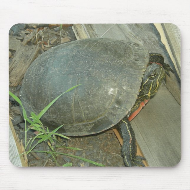Painted Turtle (Chrysemys picta) Mouse Mat (Front)