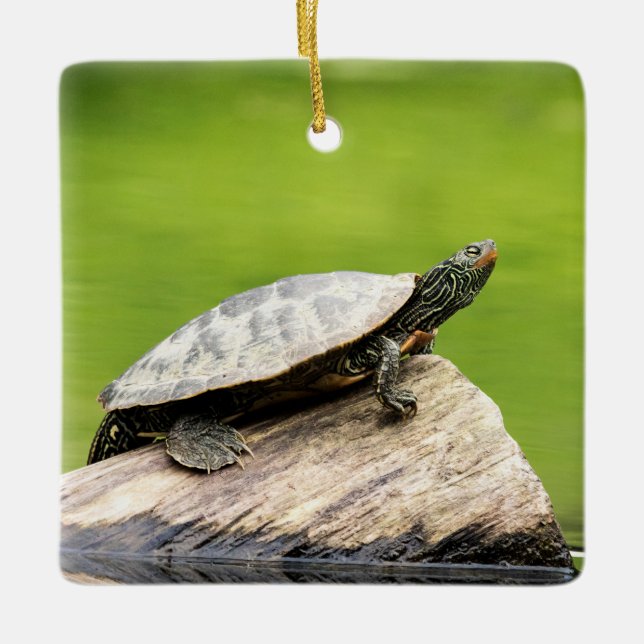 Painted Turtle on a log Ceramic Tree Decoration (Front)