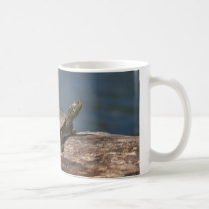 Painted turtle on a log coffee mug