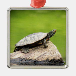 Painted Turtle on a log Metal Tree Decoration