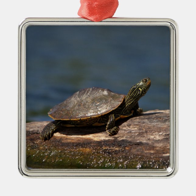 Painted turtle on a log metal tree decoration (Front)