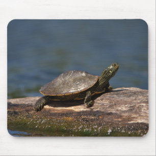 Painted turtle on a log mouse mat