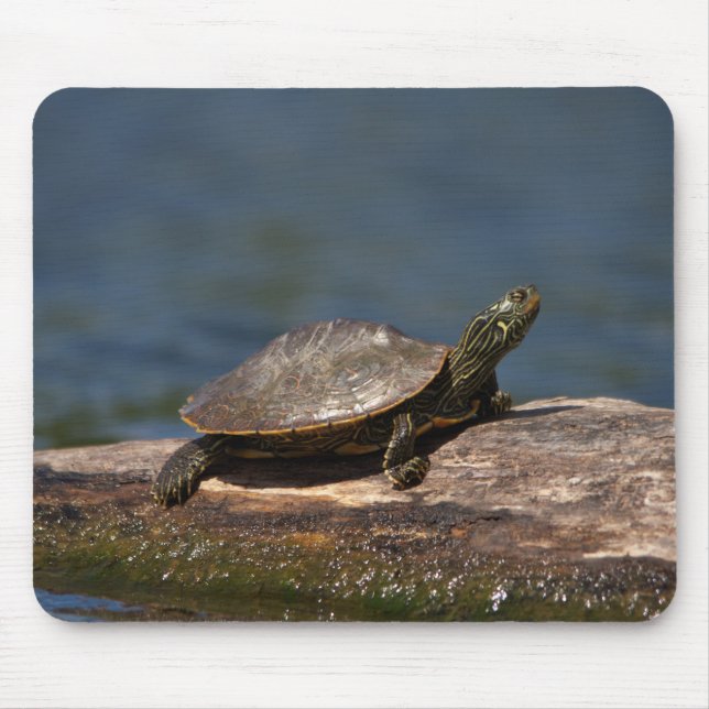 Painted turtle on a log mouse mat (Front)