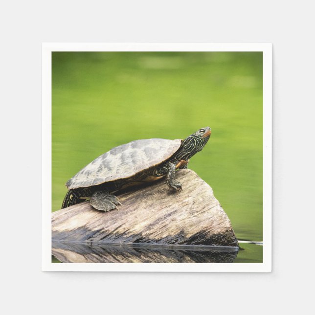 Painted Turtle on a log Napkin (Front)